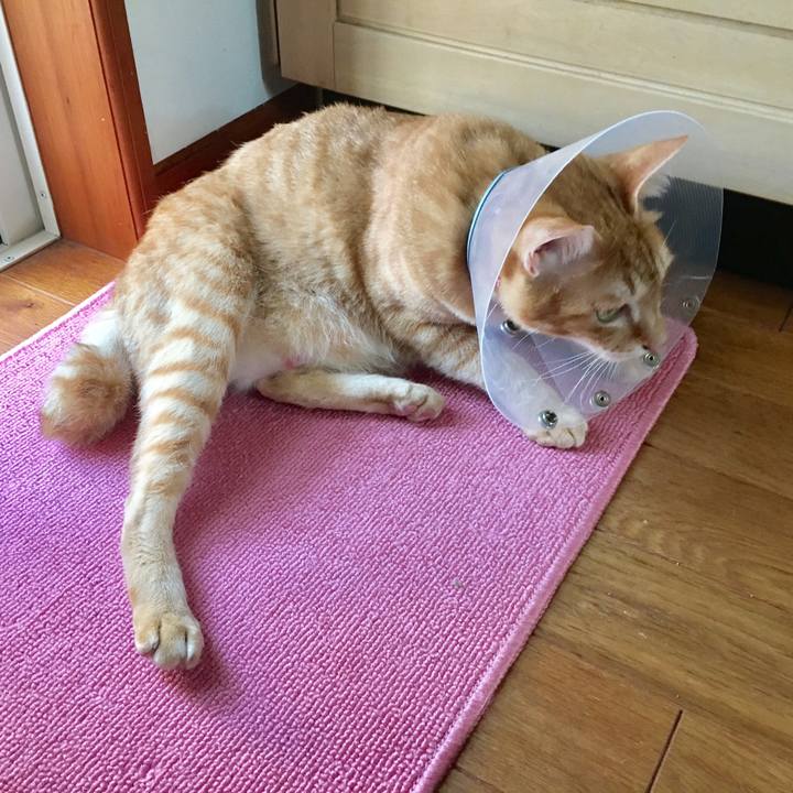 8dceca24 261f 4bf2 b2e0 47a01e8d054f