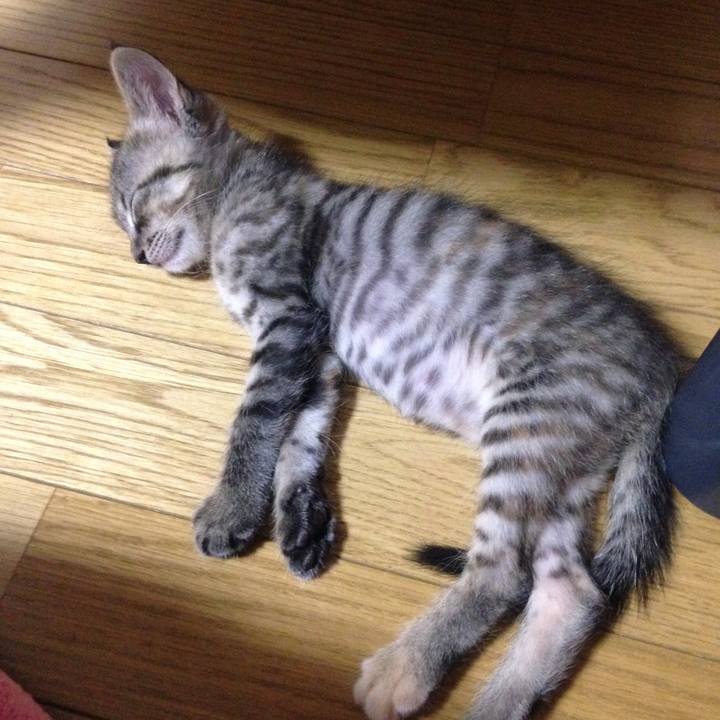 8dcf3ead 248f 4b37 bc78 c4bf74e4149e