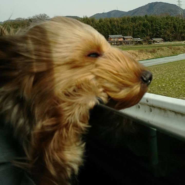 8dcf4a1c cef3 4687 a4a6 3e34b6f7309a