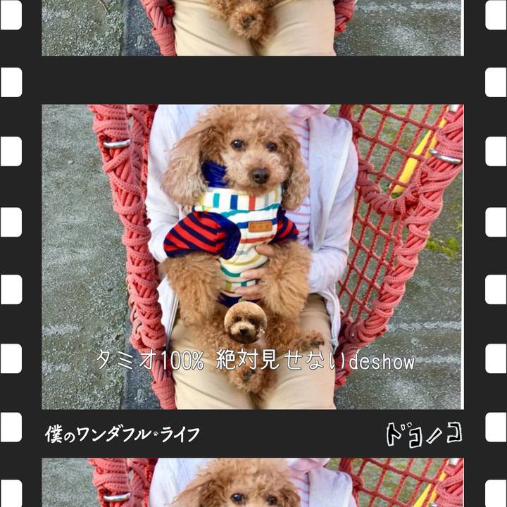 8dcf7148 b878 4672 95dc e350ef999475