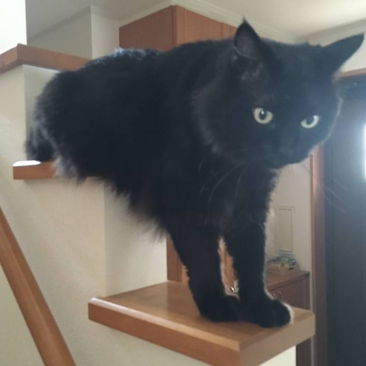 8dcff0b8 5e41 4e8f 8998 bb74ed892218