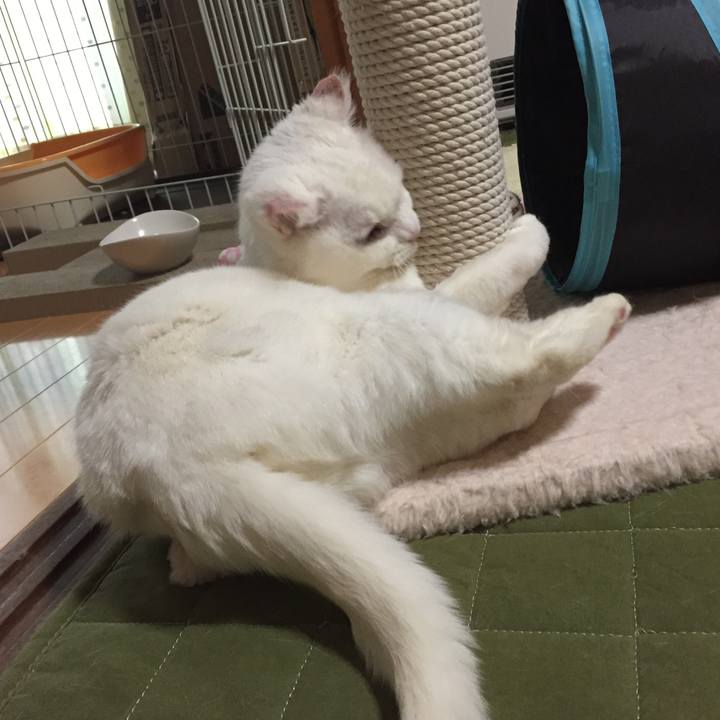 8dcff737 1b30 42df b53f 76c9a7f25c77