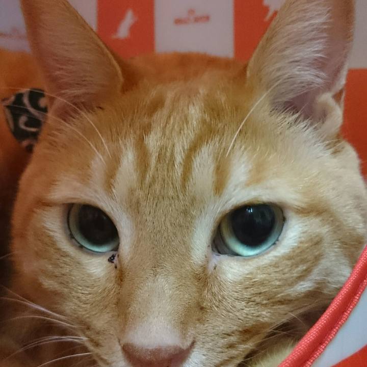 8dd1a274 398c 4cc6 9d9d 734e2847cec8