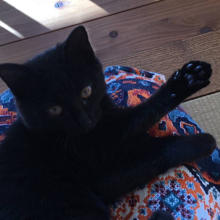 8dd1cc91 b7f6 4ca4 99b5 c9b0ebca6979