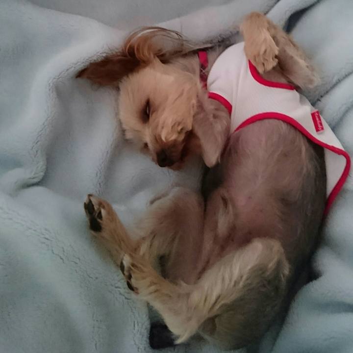 8dd2fcd9 7977 458b 81a7 00d1f90cca9e