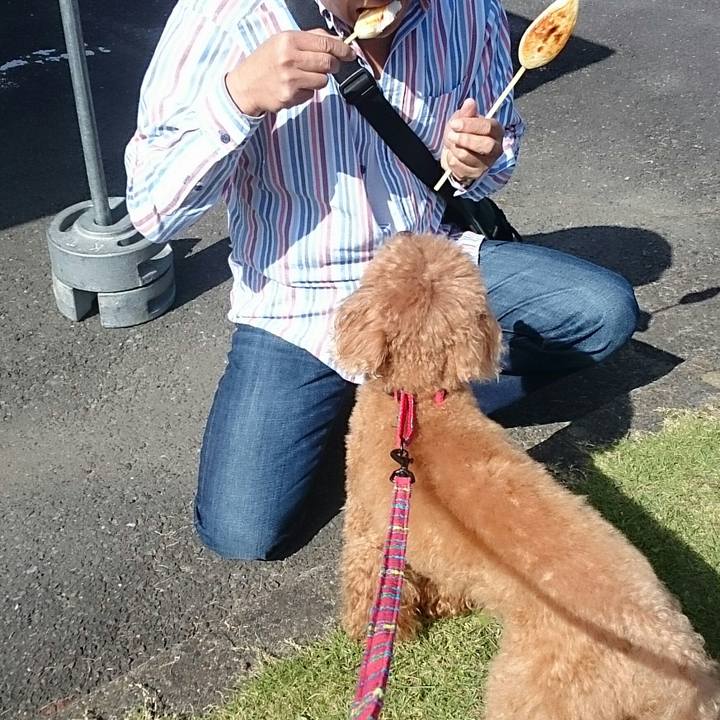 8dd5139a 450a 4b95 9d39 057abd2e127d