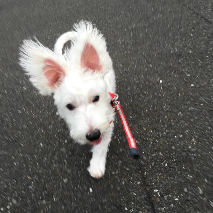 8dd5a0c8 2bc6 45d9 ac6a 3eaa58cbeffb