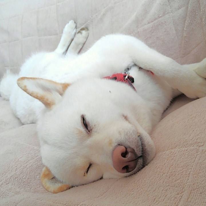 8dd5b6f3 d0b1 46f5 85e7 9a841f39e0ab