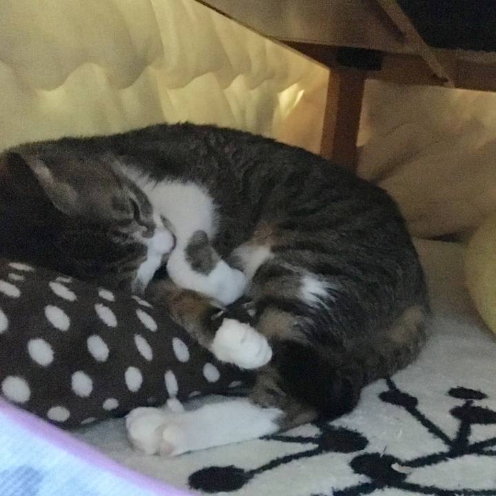 8dd6d64e 566d 4a26 90d2 0cbe08efea9d