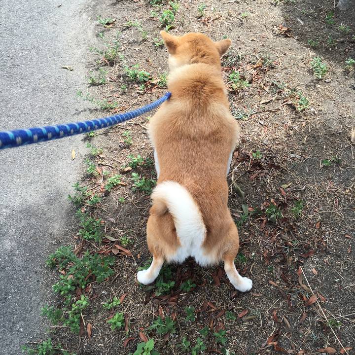 8dd70dca 2289 431c 9e79 d53673660f78