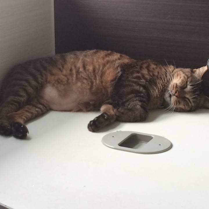 8dd761bb 97e0 4240 9c8c 528ff2515bb7