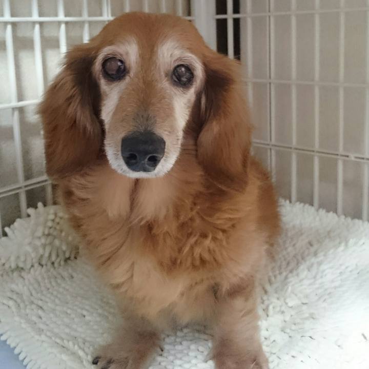 8dd78ec5 8cd3 4f89 9884 b040f81c9809