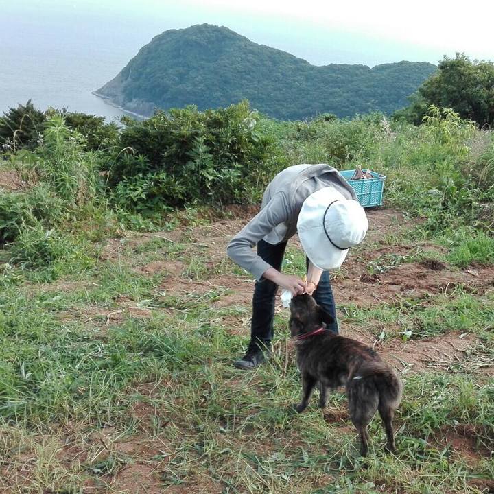 8dd7bbd2 1bc6 49eb 946e 69c55155c6b9