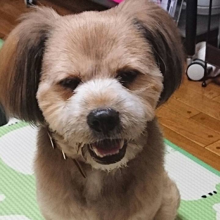 8dd850bf 09fa 422b b7be 2e4c507a25de