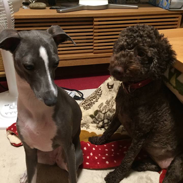 8dd87bd1 25f2 43d7 b949 37e803f4482f