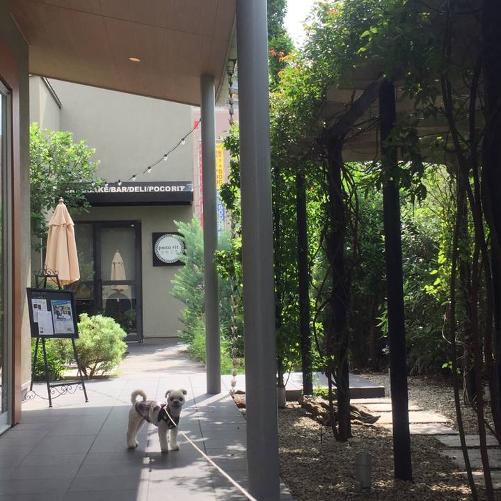 8dd88b11 7f1f 47d9 bce4 35dc27bc070b