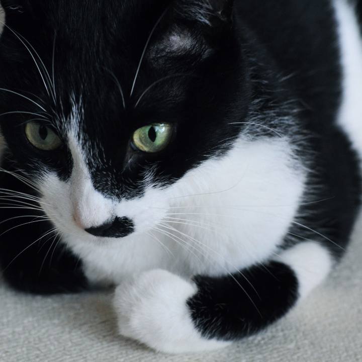 8dd8bf29 a893 4cfd a740 3bc3b5da870f