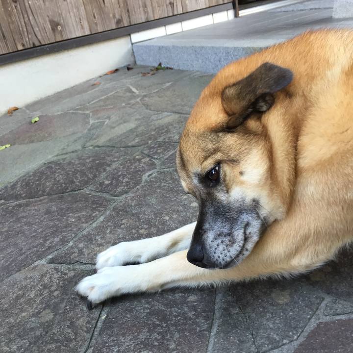 8dd90857 3b7b 4174 b5a4 55e91929f727