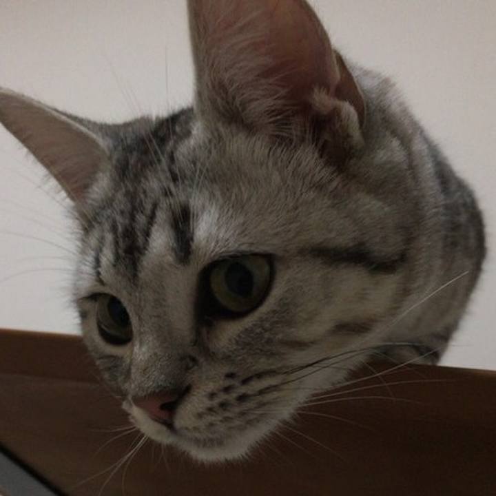 8dd9b5c2 6c70 450f 83d2 fadffb78ae6f