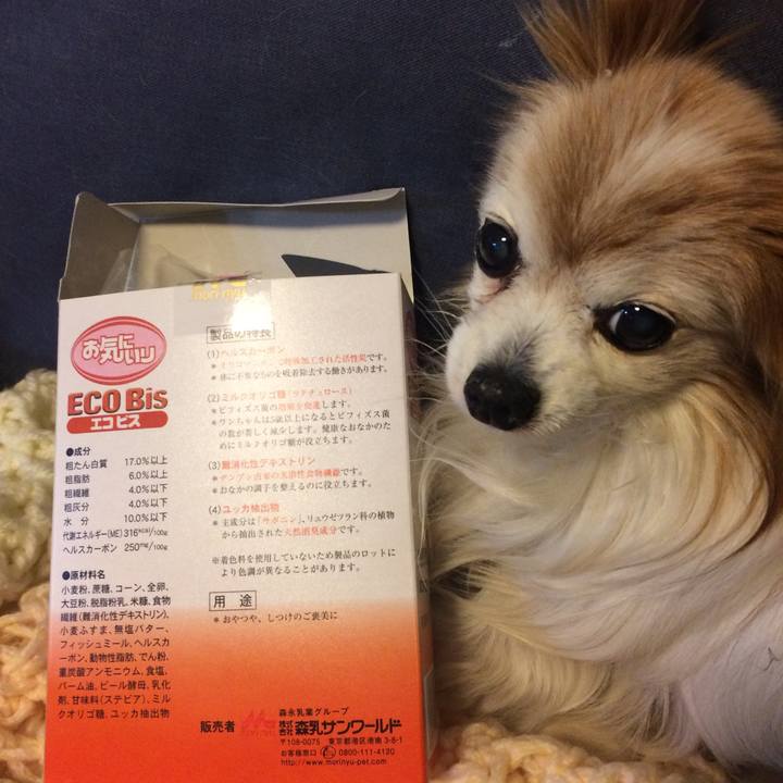 8dd9ca4d 4fe6 4b57 b8d2 e0deaf5b188e