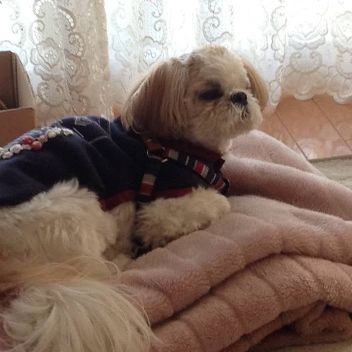 8dda0fe6 4347 4d21 b641 7eb92d90d2c9