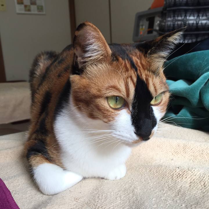 8dda2226 70df 4a8e 9b87 04f7f891421f