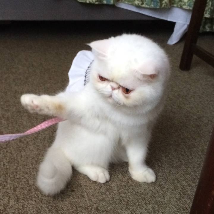 8dda4e23 9ade 47eb bb7f 3a7c2e6a5bdc