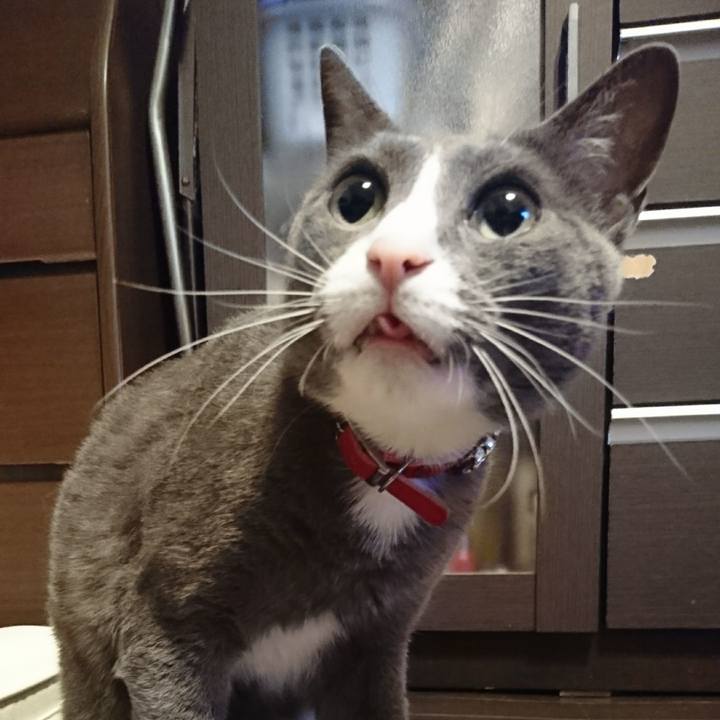 8ddad954 3dff 4f5d 8aa1 25284aa32512