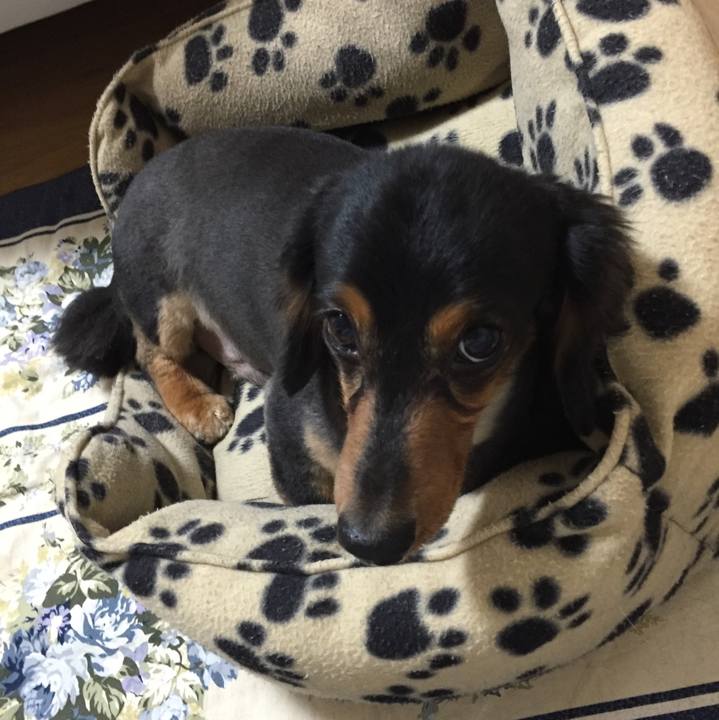 8ddb67d0 cd17 4c15 813b 17a5c95c3448