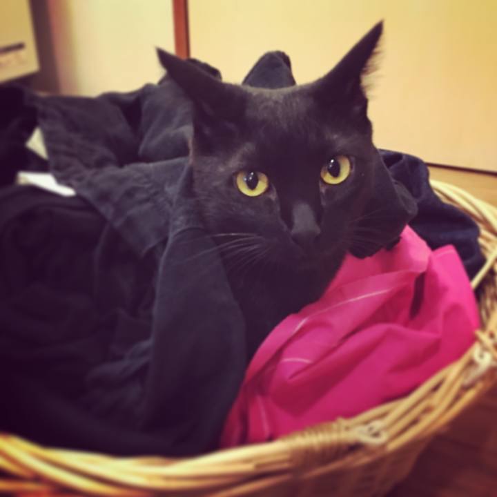 8ddbdaa7 572d 4801 b412 74c9e1d0d517