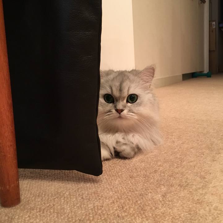 8ddc401f 2bdd 46ed 9c9f 187094ff9e5d