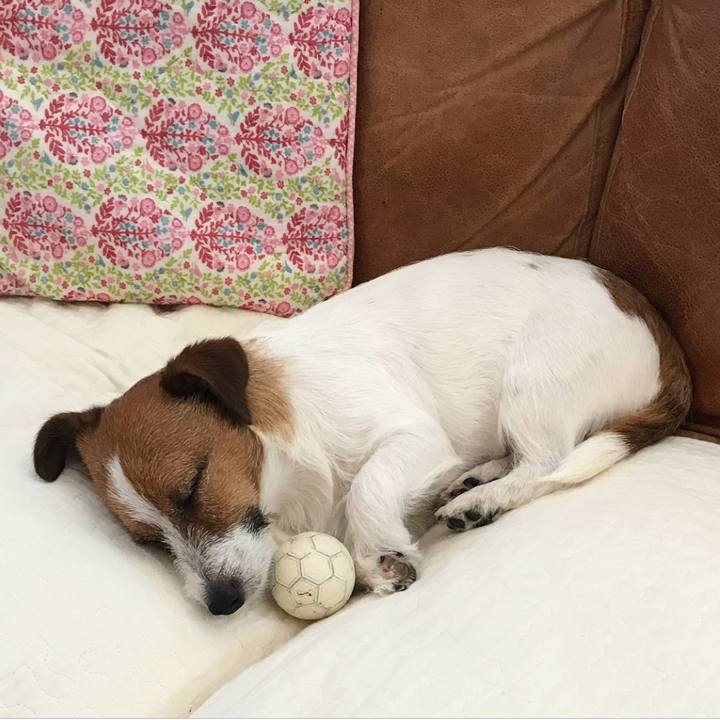 8ddc40dc 91c8 4ea8 a12e 318c69a8be07