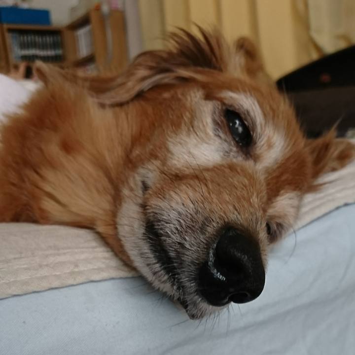 8ddc5b0f d93a 4bcc a424 d4995a4acb8c