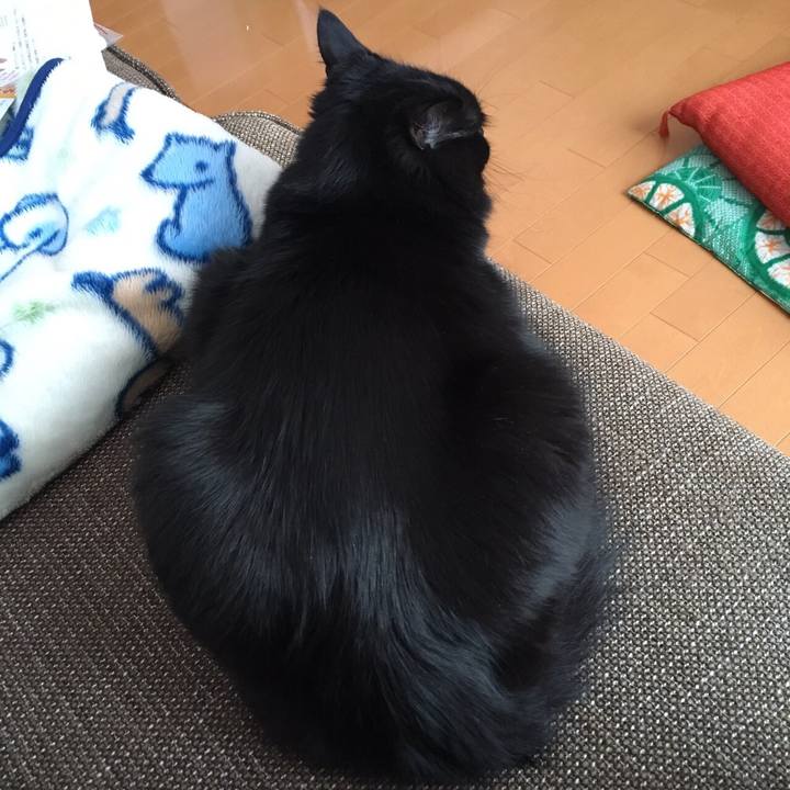 8ddcad09 c130 450e 81ef 15a7eedfaa81