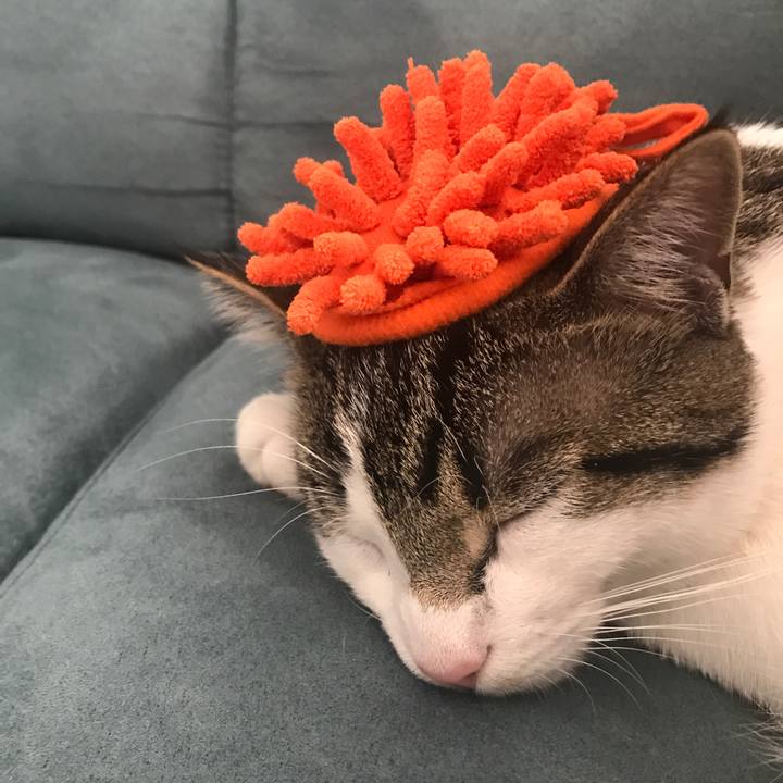 8ddcdc46 4536 4453 8a78 6c4865d11dd9