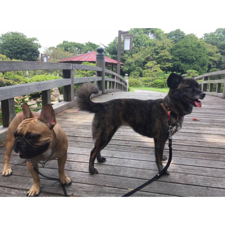 8ddd2ccd 6e99 4511 b261 825e802edd5d