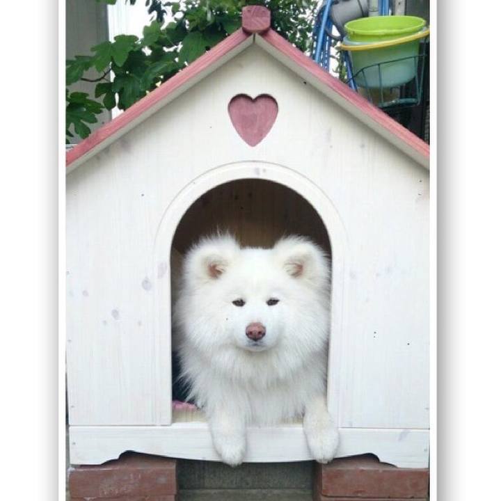 8ddddf71 049e 4e5c 9e82 7af8280fe63c