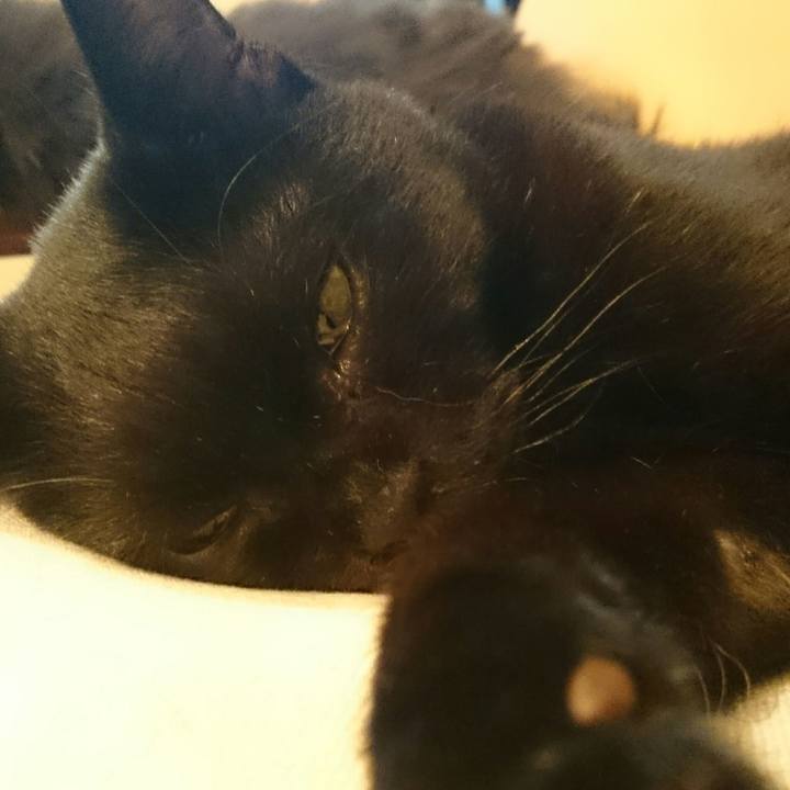 8dde8547 e04a 438f 8e38 3668c3d4ecb1