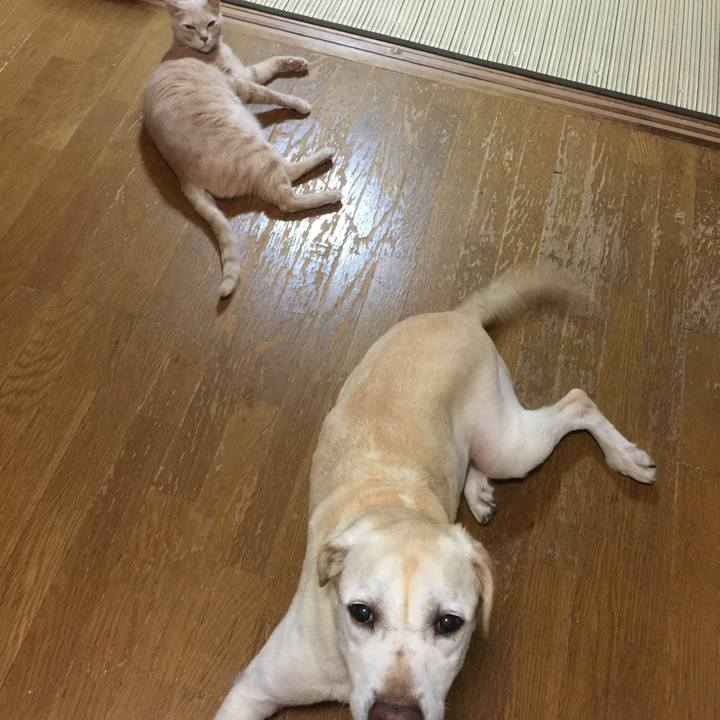 8ddea9fb 3fd2 4ac5 95a4 138e8732ef58