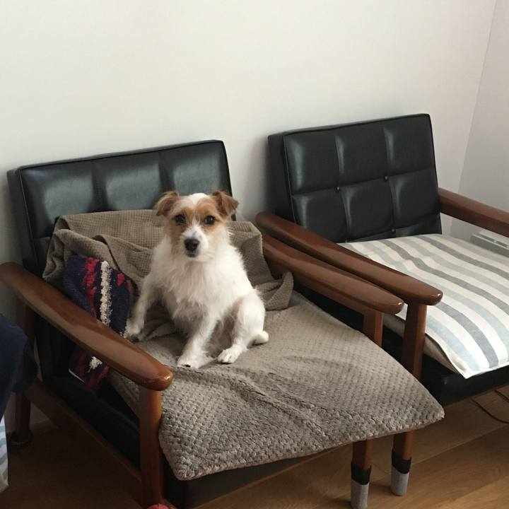 8ddf862f 440e 4709 b89b 48c33c215335