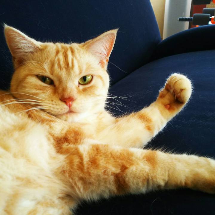 8ddf8f8c d2cb 4f55 9dad 469f50b978d8