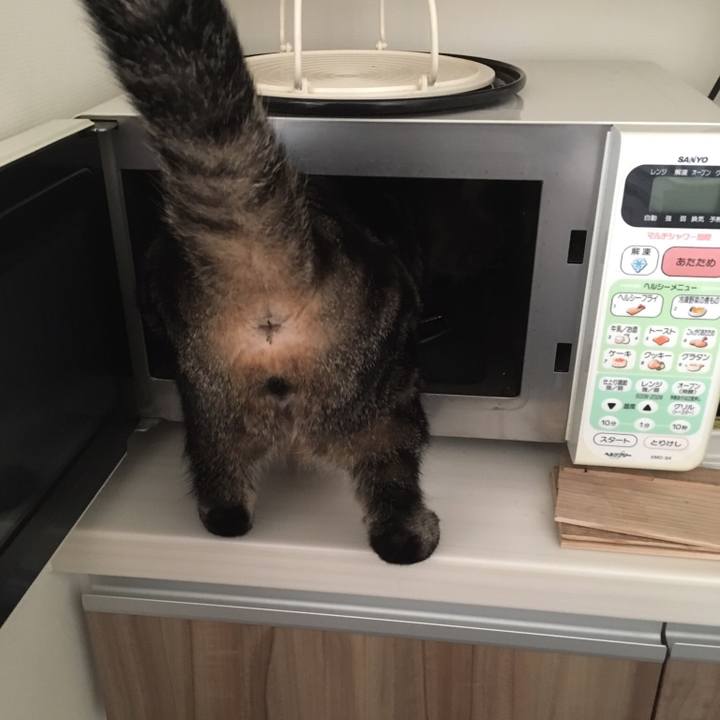 8ddf8fa6 2898 4e18 9d2a 062f1ac34579