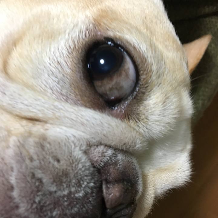 8ddfccbc bd4c 4b0e b2e3 f6793a1b986f