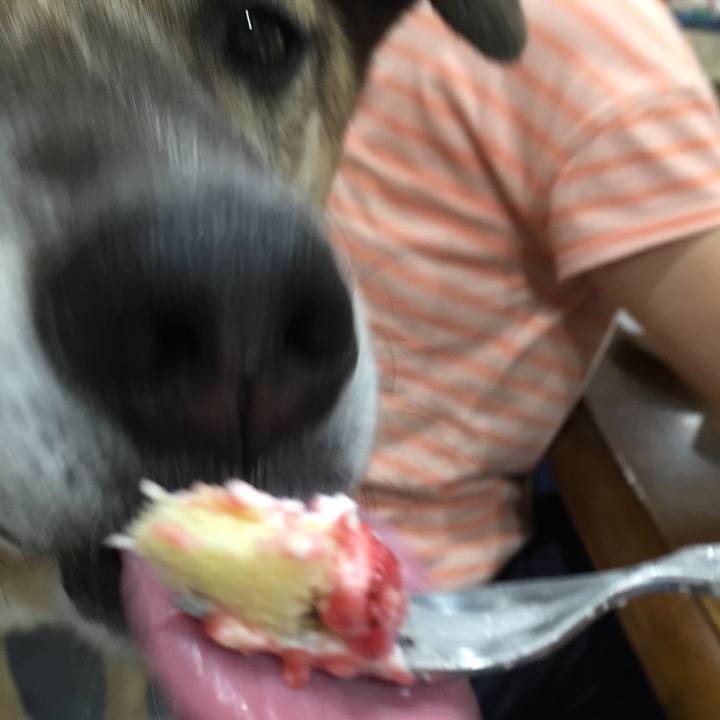 8de03a3e bda3 44eb 9a57 fb9f89b698cf