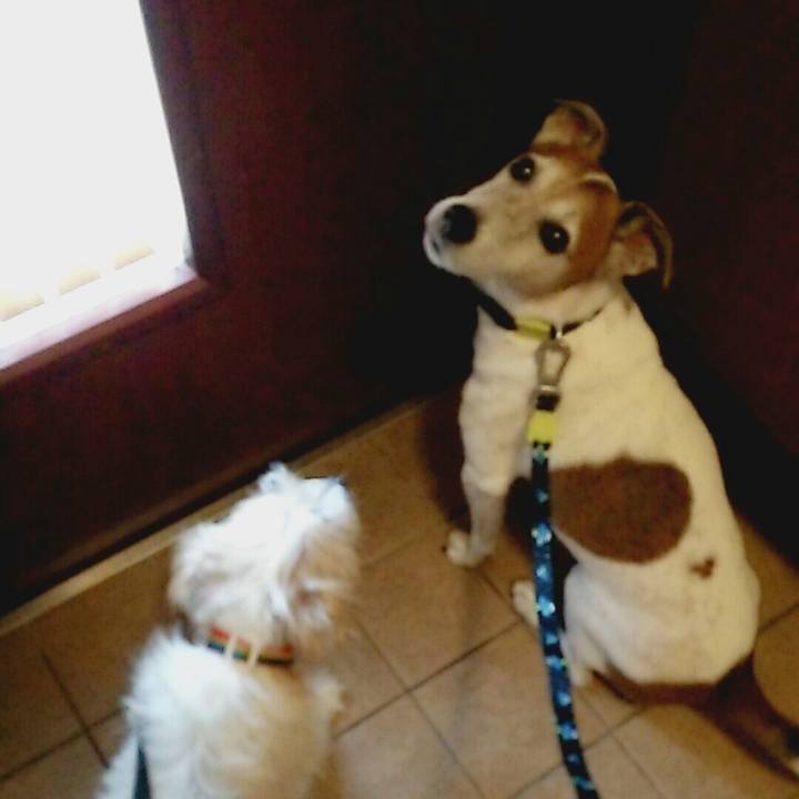 8de04e98 66c3 481f ac2f 48905e69ba56