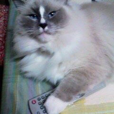 8de18505 a28a 407d b546 158ad0a4d7a1