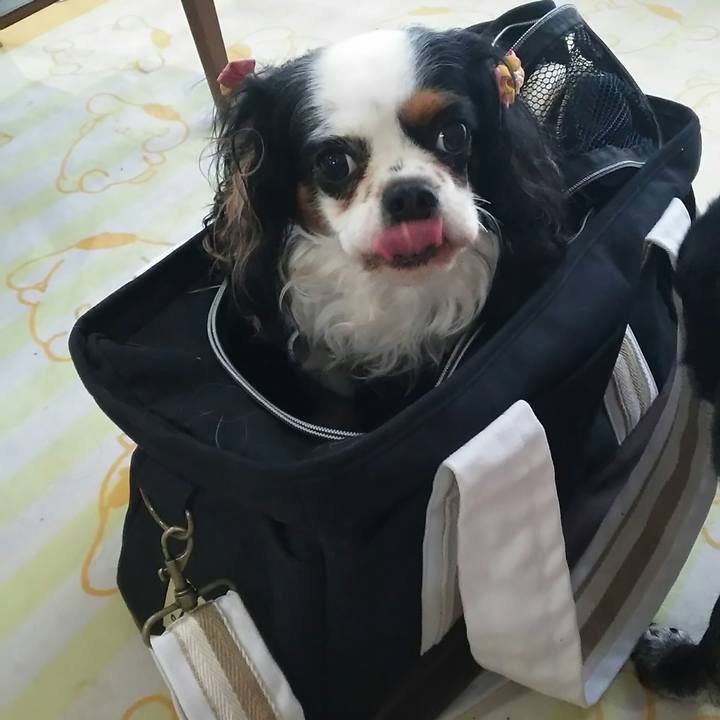 8de2234a f165 4db2 af9a 3026e202def4