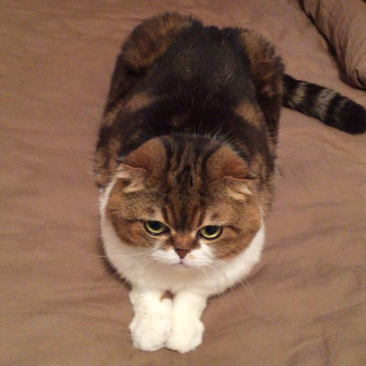 8de239ad 4e68 4bbc a49c a2f90013b6de