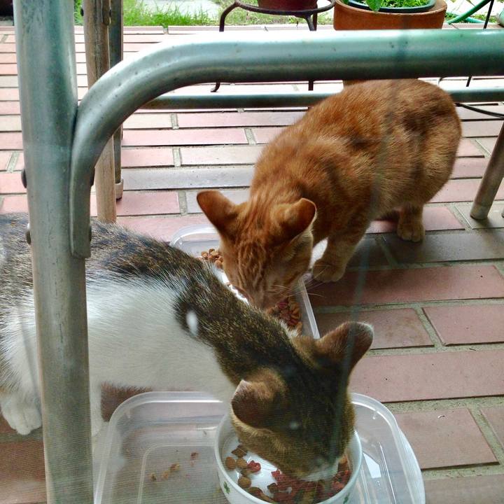 8de26705 bdf7 46b9 abf3 aa38cf0bd21c