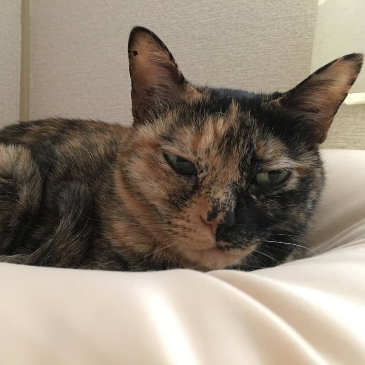 8de29316 a8a5 4df3 82de 4131e9b0bf6b